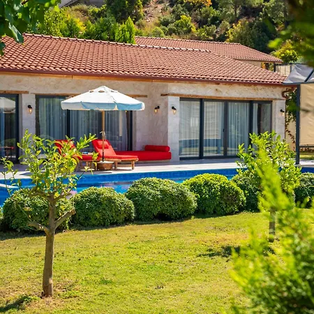 Eco Villa Village Houses